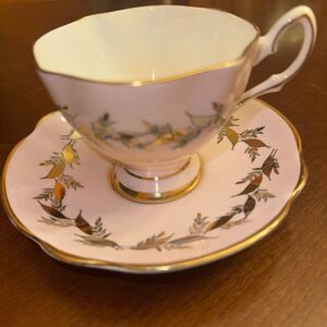 Salisbury Bone China Teacup & Saucer  Multicolor Floral England 2292